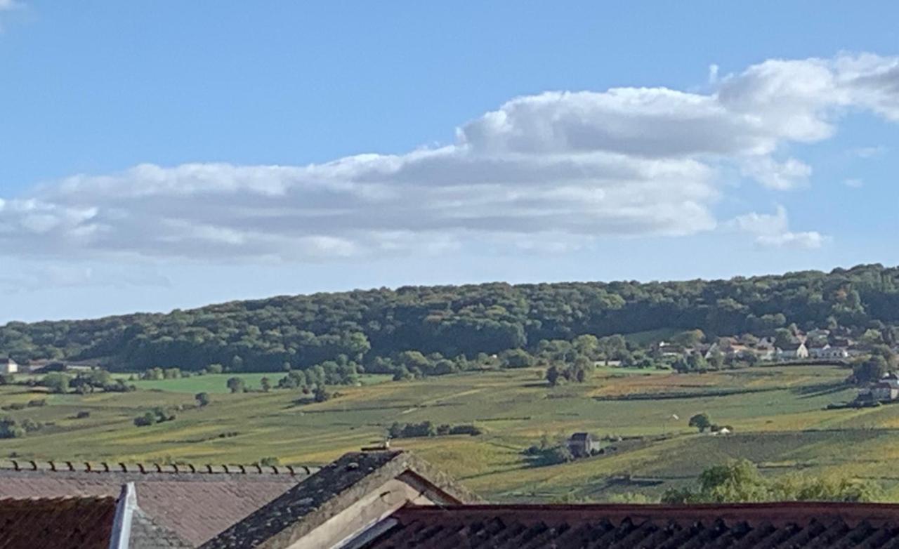 Le Claugi Villa Damery  Exteriör bild